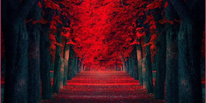 1920x1080 Red Wallpaper Full Hd 9321 75 Red 1080p Wallpapers On Wallpaperplay