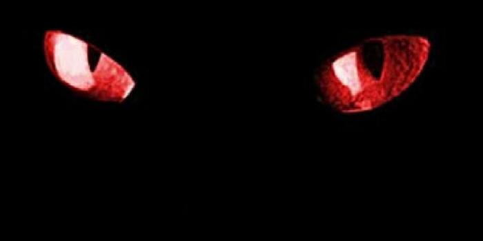 2380x1720 Red Eye Wallpaper ·① WallpaperTag