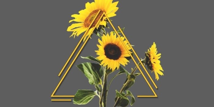 1081x1920 walpaper | Tumblr