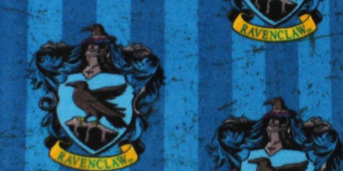 1200x1360 Harry Potter Fleece Fabric 58''-Ravenclaw Crest on Stripes