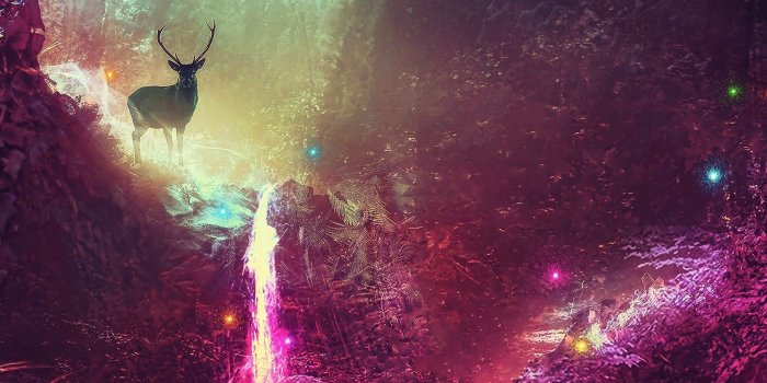 1920x2160 72+ 1920X2160 Wallpapers on WallpaperPlay