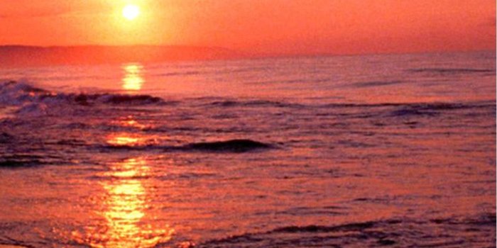 1080x1950 30+ Sunset Beach iPhone Wallpapers - Download at WallpaperBro