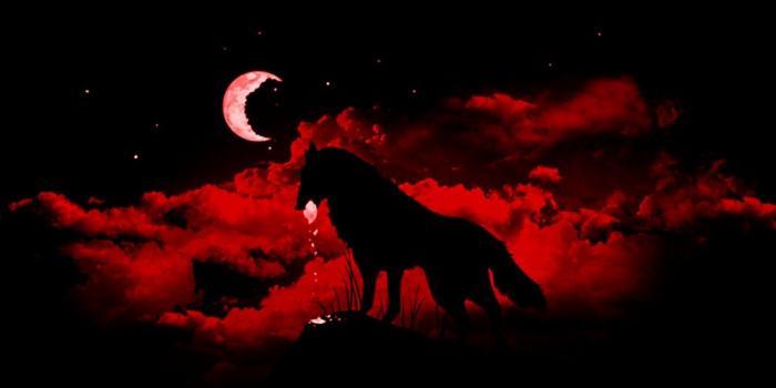1440x900 Blood Red Moon Wallpaper | Red moon in 2019 | Wolf wallpaper, Blood