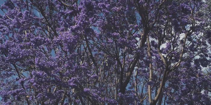 2094x3724 Guadalajara, Mexico. #wallpaper #lockscreen #photography #nature