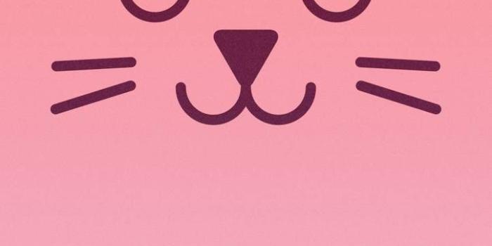 723x1280 Pink Cat Wallpaper by thejanove - 11 - Free on ZEDGE™