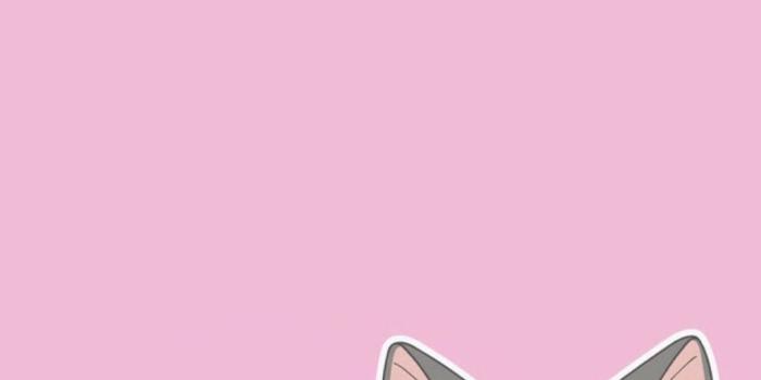 1082x1920 50+ Cartoon Pink Cats Wallpapers - Download at WallpaperBro