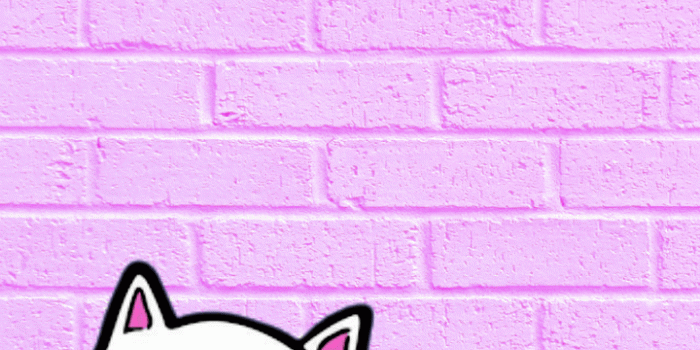 720x1280 Image about pink in wallpapers/photography 