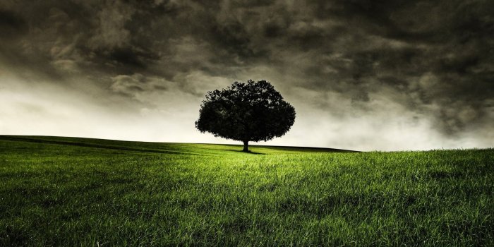 1920x1200 Before The Storm Wallpaper | 1920x1200 | ID:17217