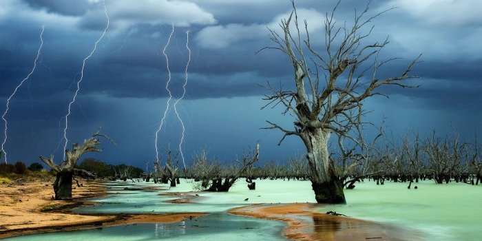 1600x1064 2868234 lightning storm dead trees beach nature wallpaper and