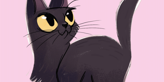 1080x1920 Cartoon Cats Wallpapers