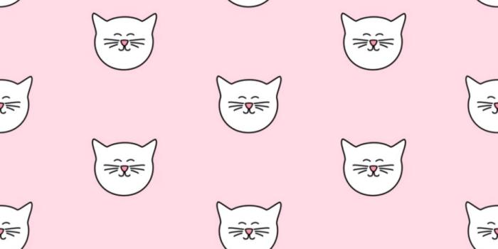 929x1015 Tiled Cat Wallpaper | Wallpapers Book