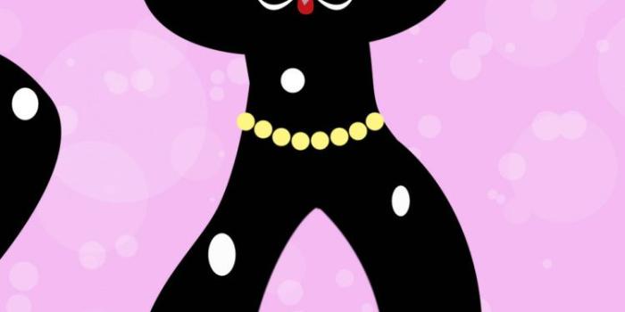 750x1334 Pink, Vertebrate, Valentines Day, Love, Black Cat Wallpaper