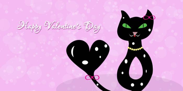 1600x900 Pink, Vertebrate, Valentines Day, Love, Black Cat 16:9 HD+ Wallpaper