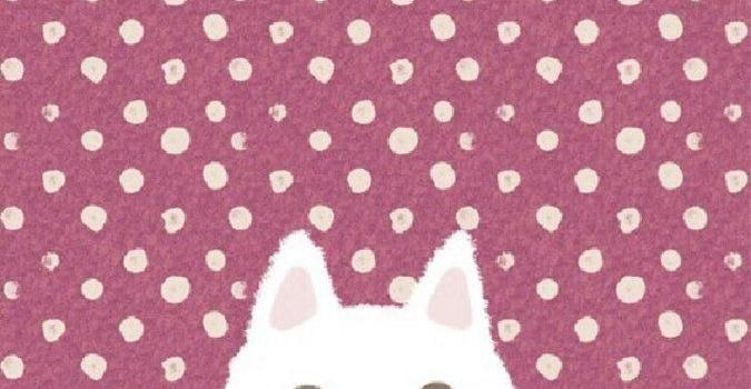 675x1200 catwallpaper hashtag on Twitter