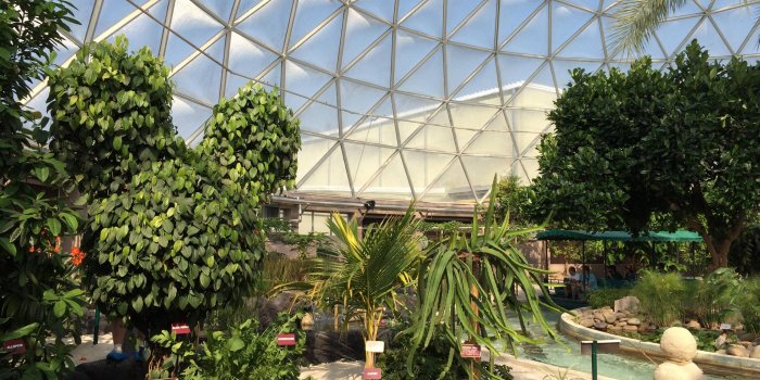 3264x2448 Epcot Living With The Land: The Happiest Garden On Earth