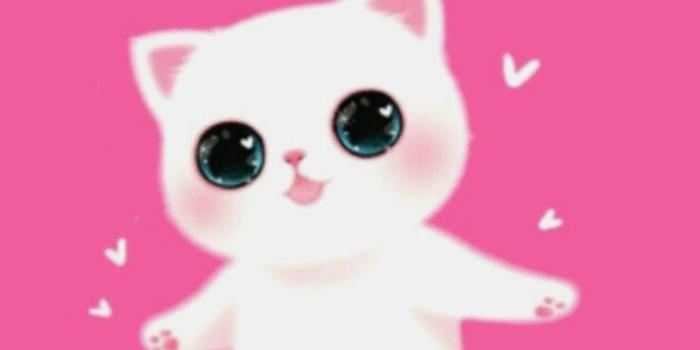 736x1313 10 Emoji Cat Wallpaper - Download Wallpaper HD For PC Computer & Android