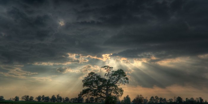 1920x1200 Cool Nature wallpaper | 1024x768 | #5285