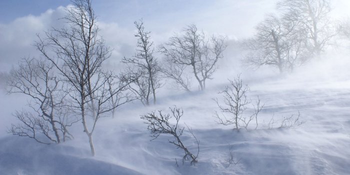 1920x1080 Snow storm wallpaper - Nature wallpapers - #26604