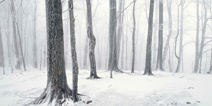 1920x1200 Winter, Storm, Top, HD, Wallpaper, Free, Nature, Images, Download