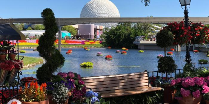 2048x1536 Gronda Morin Takes A Travel Break From Trump-World At Disney's Epcot