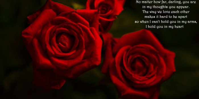 1920x1200 Love Poems Wallpapers (39+ images)