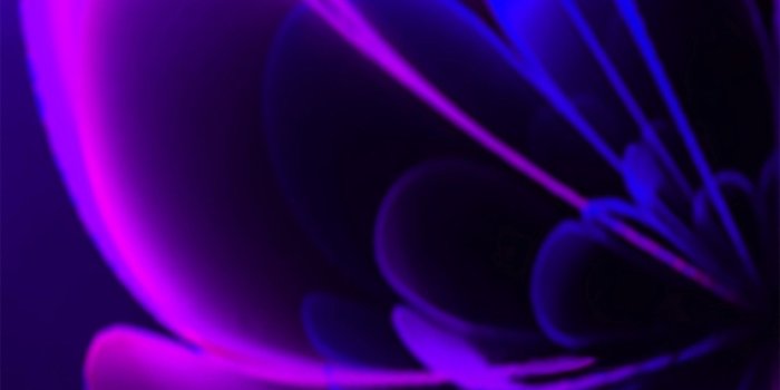 1429x2500 Wallpaper/ background with indigo and purple stylized flower, shyny