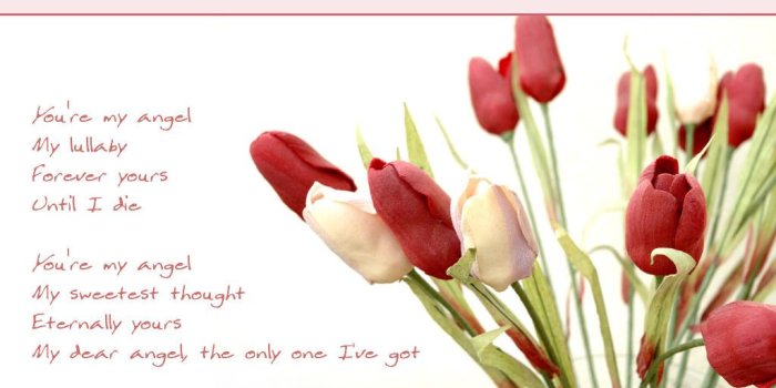 1024x768 Download Free Wallpapers of Actors and actress Bollywood News and