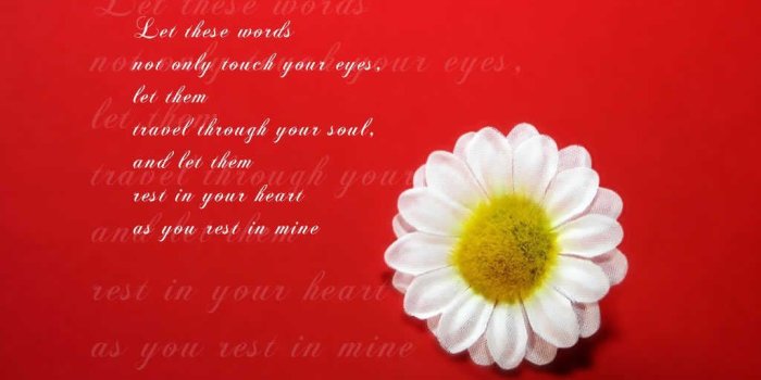 1024x768 30+ Short Love Poems For Him From The Heart – Pelfusion.com