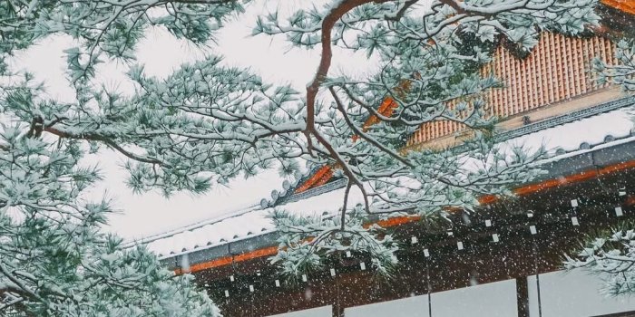 1080x1920 Winter Snowing in Japan. Asian or oriental houses and buildings
