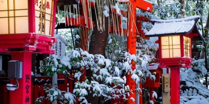 750x1334 Wallpaper Shrine, Torii gate, Kyoto, Japan, winter, snow, trees