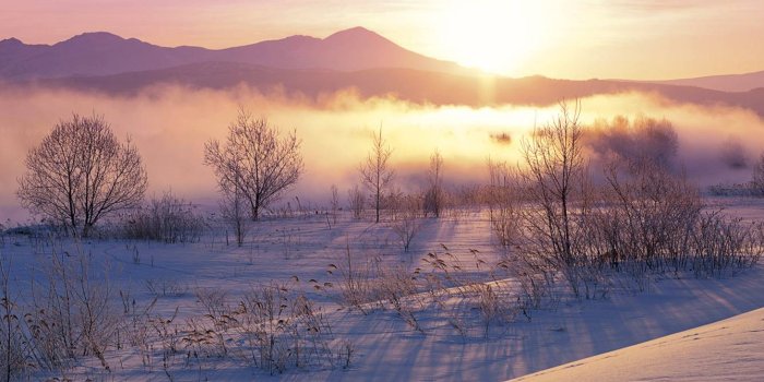 1338x1200 Winter In Japan Wallpaper by Elanorlessien - 12 - Free on ZEDGE™