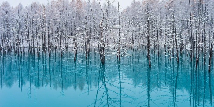 1920x1080 lake, Trees, Nature, Turquoise, Water, Snow, Reflection, Winter