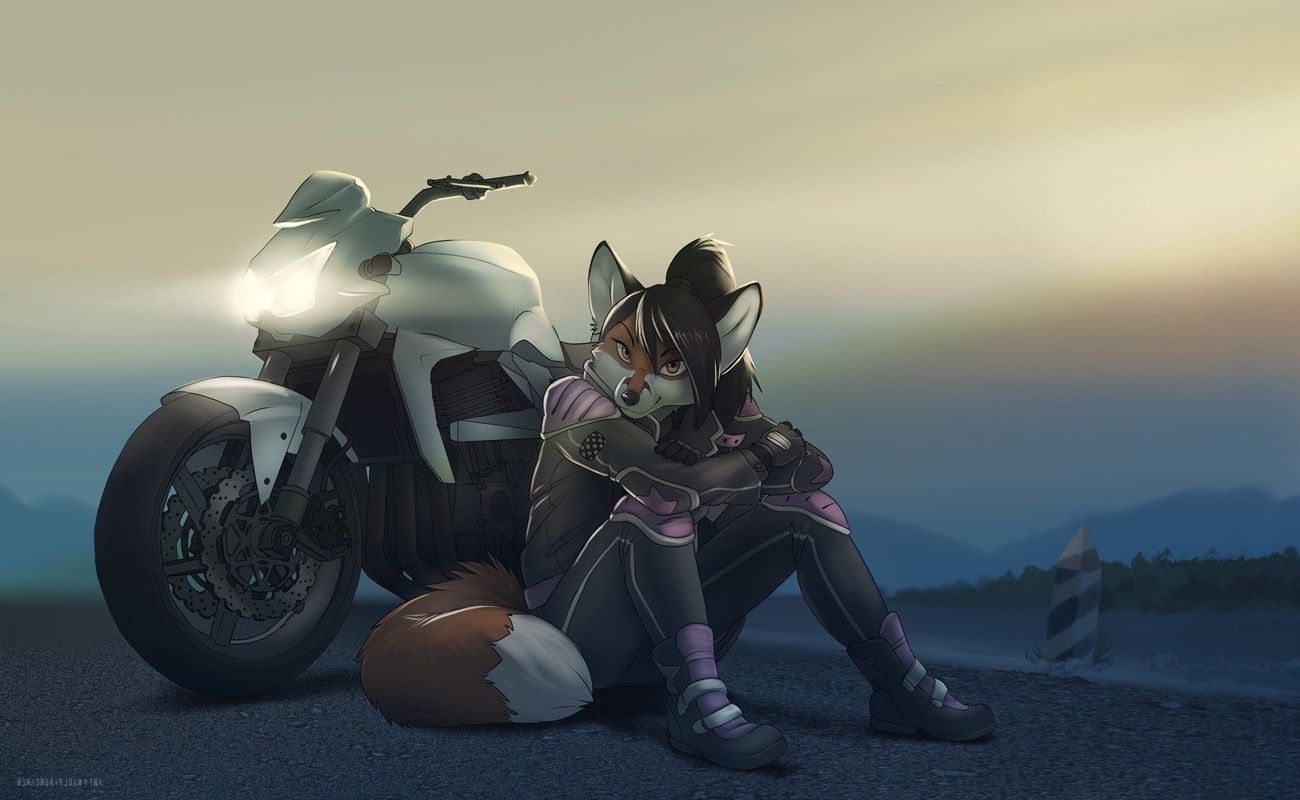 1300x800 2886056 furry anthro motorcycle wallpaper and background | Anime