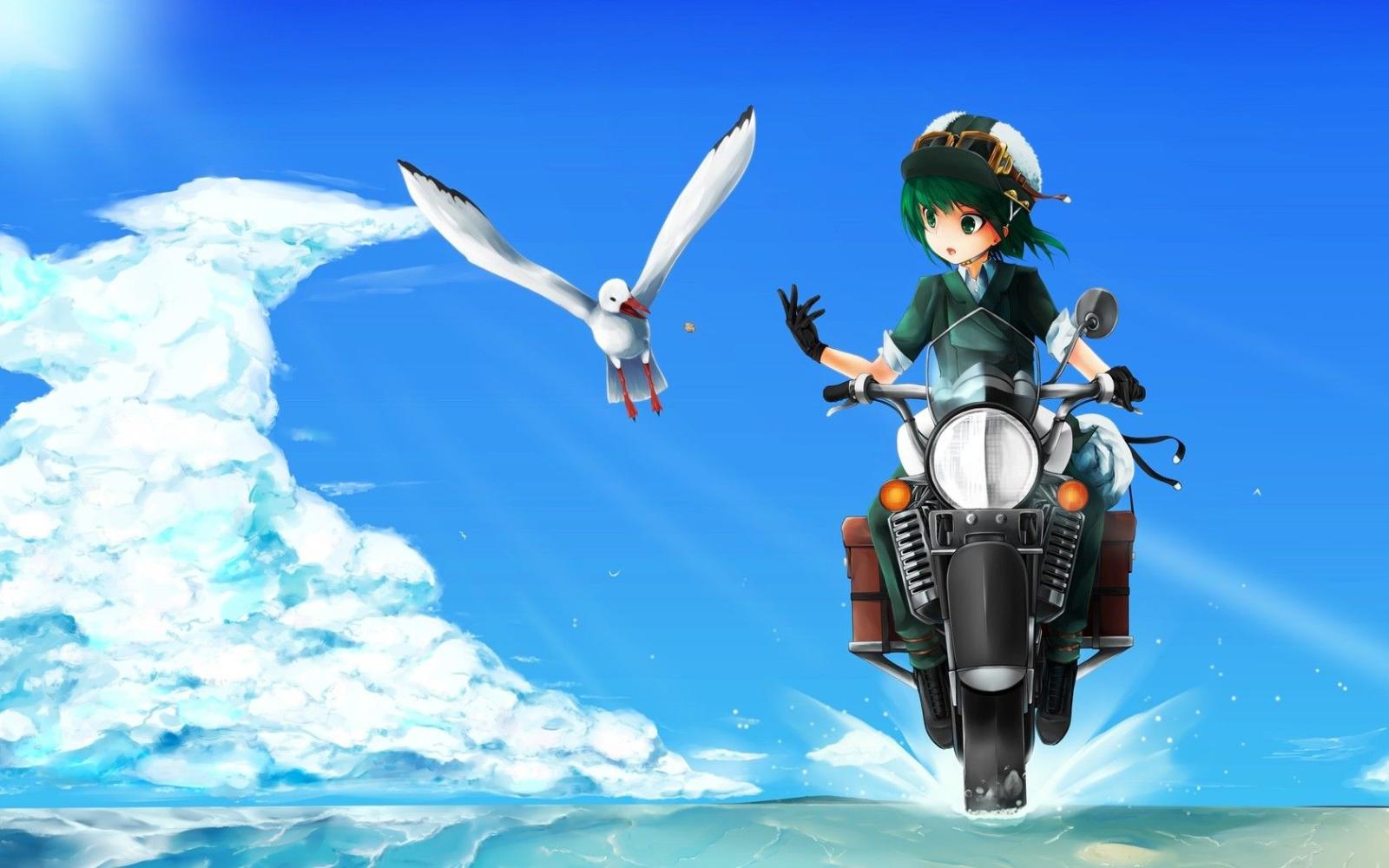 1680x1050 Girl Motorcycle And Seagull Bird Wallpapers - 1680x1050 - 239395