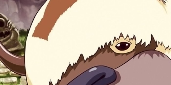 1080x1920 Avatar The Last Airbender HD Wallpaper for Android - WallpaperAsk