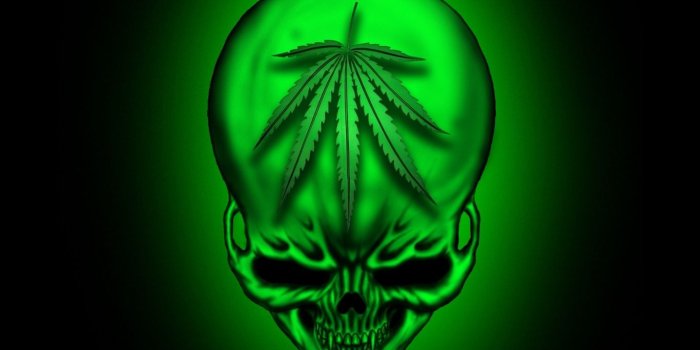 1366x768 Free download Weed Wallpapers Hd image gallery [1366x768] for your