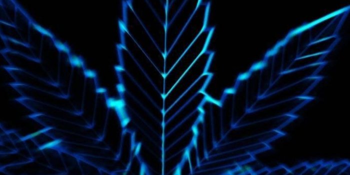 1080x1920 Weed Wallpaper Desktop ·① WallpaperTag