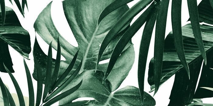 700x1149 Tropical Jungle Leaves Pattern #4 #tropical #decor #art #society6