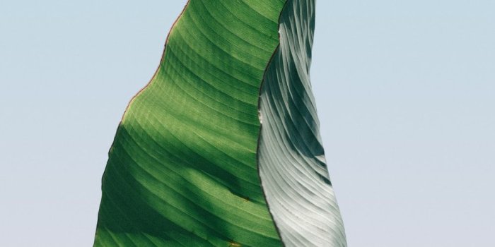 1000x1500 iPhone Wallpapers | 100+ best free iphone wallpaper, wallpaper, lock