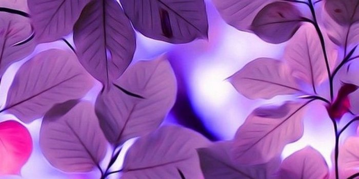 1242x2208 30 Pretty/Beautiful Wallpapers for iPhone