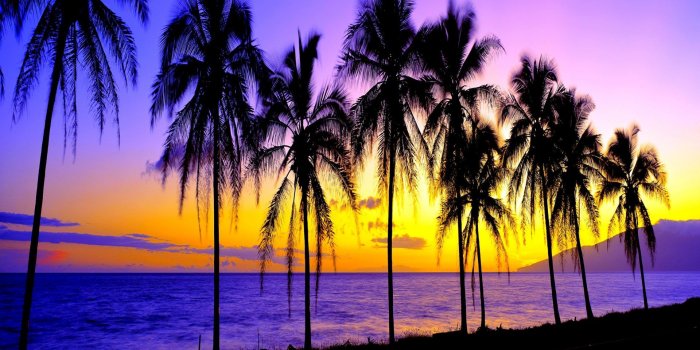 1920x1080 Wallpapers Tagged With Dramatic: Tree Dramatic Beautiful Landforms