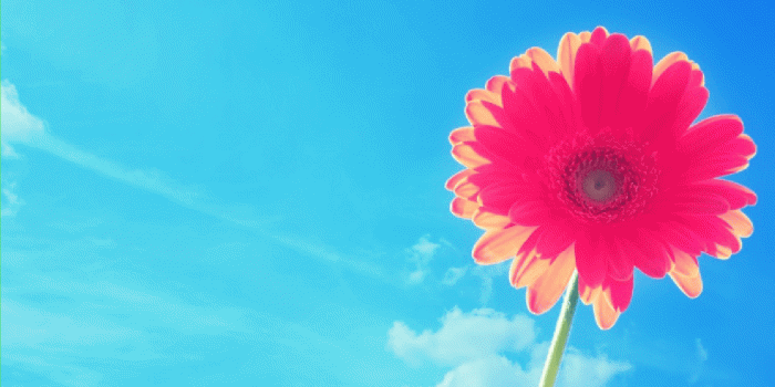 1280x1024 Weekly Positive Affirmations Wallpaper | Everyday Affirmations