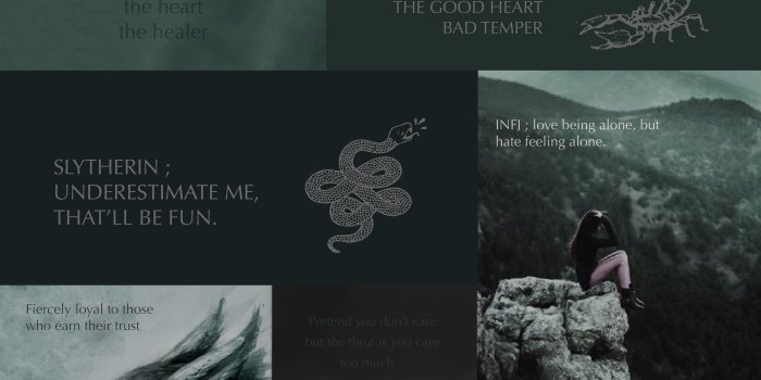 4012x5567 Slytherin + Pukwudgie + Scorpio + Patronus Hippogriff + INFJ-T I´m
