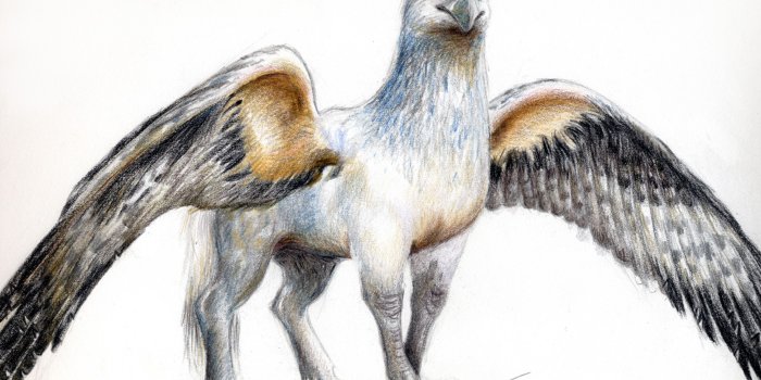 3444x2502 Hippogriff - a creature with the the head and wings of an EAGLE and