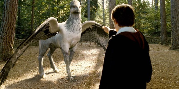 1235x753 Buckbeak | Harry Potter ϟ The Boy Who Lived in 2019 | Hippogriff