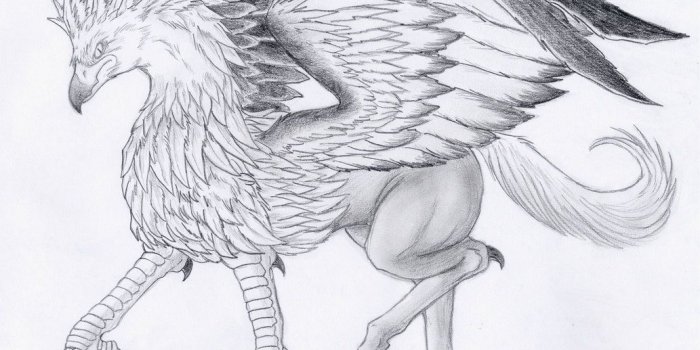 1033x773 Hippogriff Tattoo (82+ images in Collection) Page 3