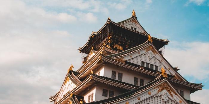 1000x1506 100+ Osaka Pictures [HD] | Download Free Images on Unsplash