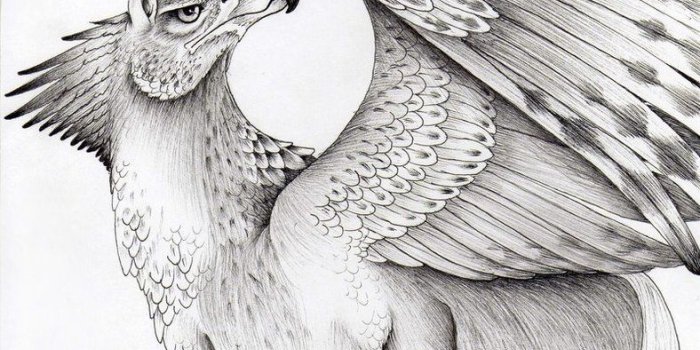 788x1014 Hippogriff Tattoo (92+ images in Collection) Page 1