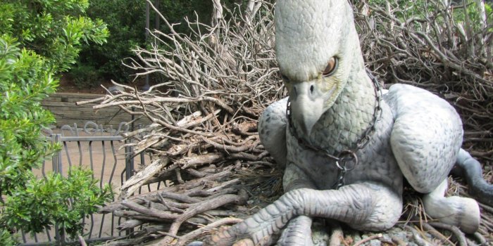 1600x1200 hippogriff harry potter bow - Google Search | Fantasy in 2019