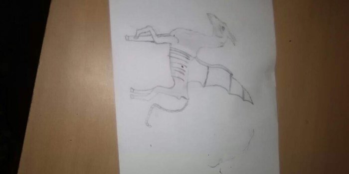 1024x768 I drawd lilys and snapes patronus and a hippogriff and a thestral